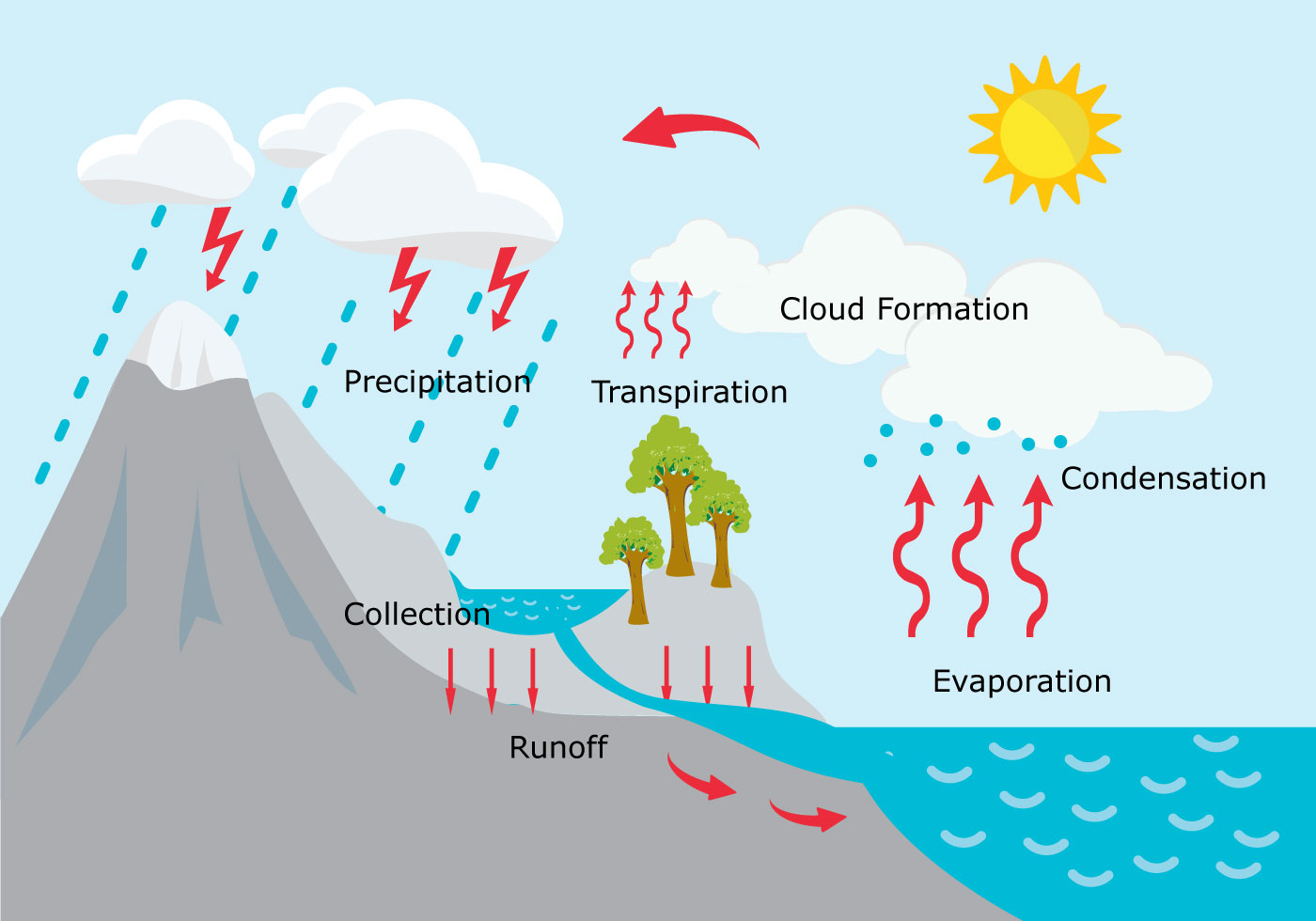 Diagram of the water cycle showing evaporation, condensation, and precipitation